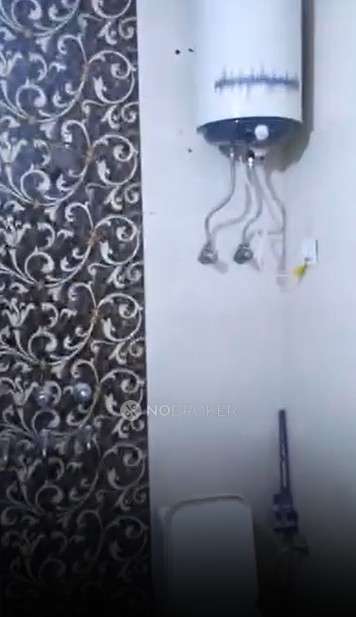 PG for Anyone in Pitampura