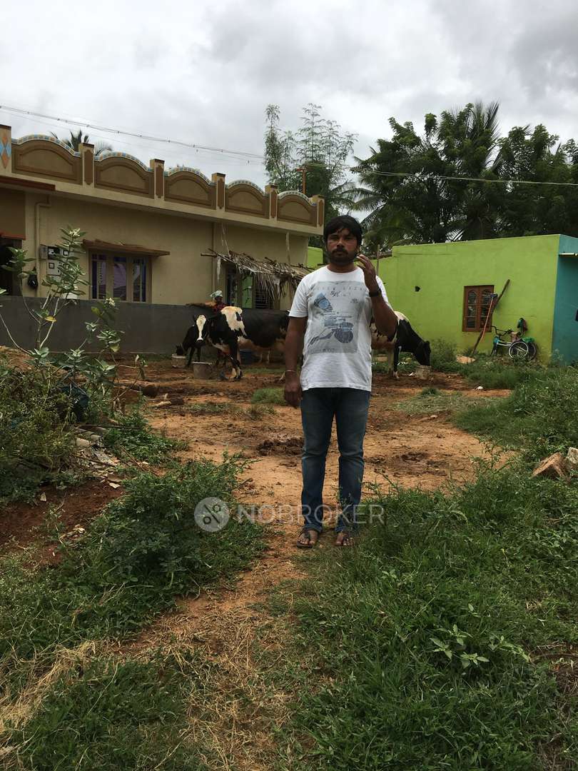 Plot For Sale  In Apmc Market