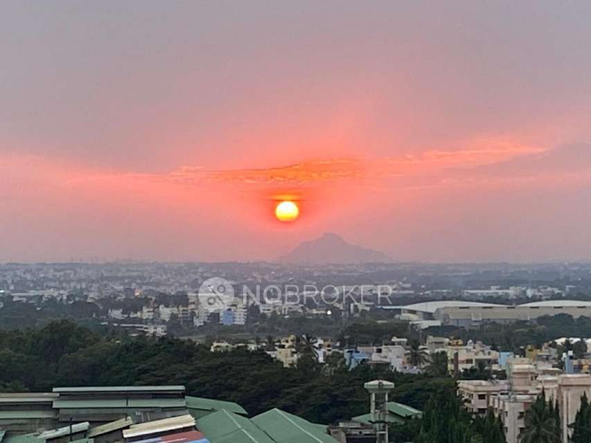 3 BHK Flat In Prestige Jindal City For Sale  In Bagalakunte