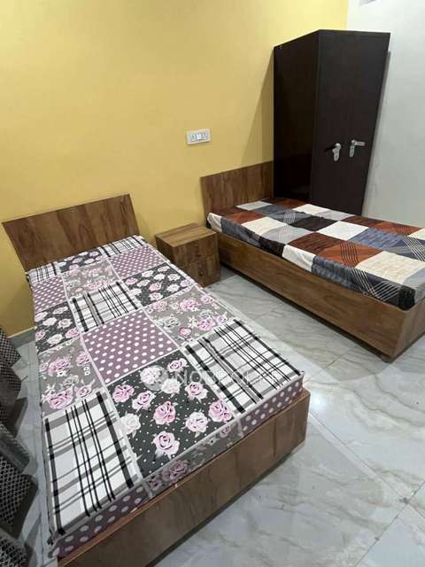 PG for Anyone in Sector 18