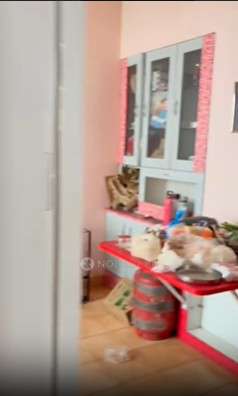 Shared Room for Female In 2 BHK  In Nigdi