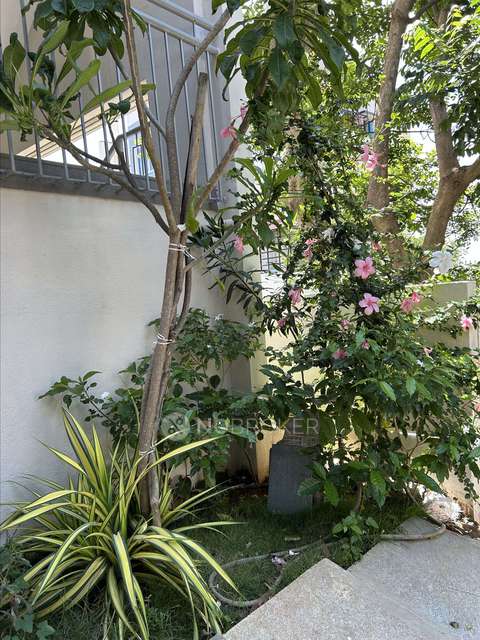 4+ BHK House For Sale  In Chikkajala