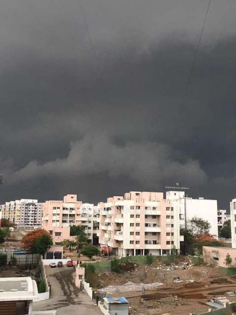 1 BHK Flat In Ivory Society For Sale  In Wagholi