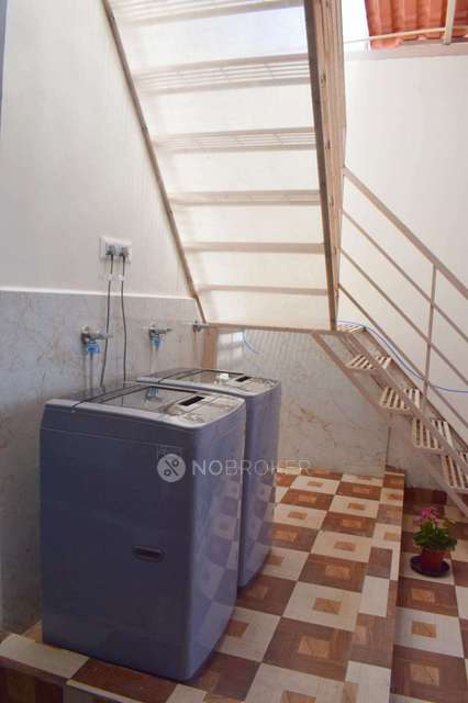 PG for Anyone in Whitefield