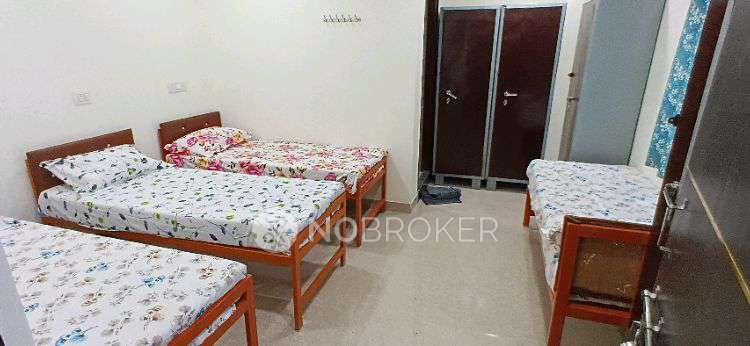 PG for Anyone in Kokapet