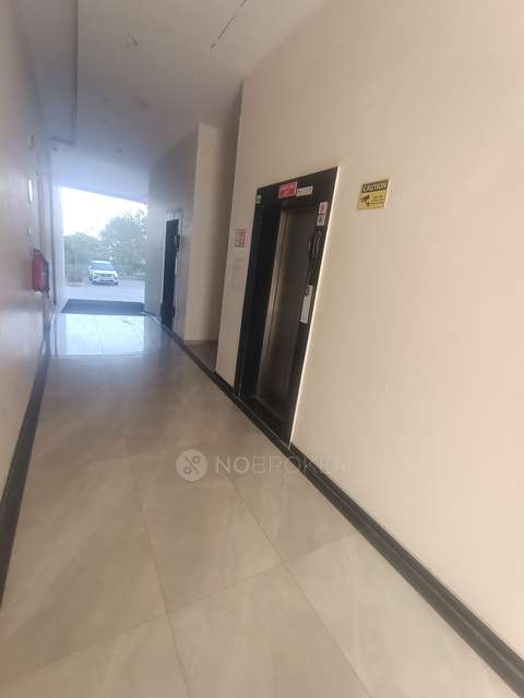 3 BHK Flat In Somani Dream Home for Rent  In Tathawade