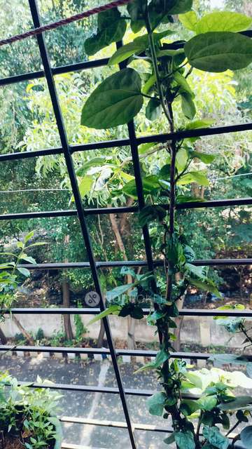 2 BHK Flat In Namrata Shantai Residency For Sale  In Talegaon Dabhade