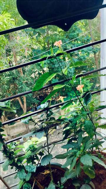 2 BHK Flat In Namrata Shantai Residency For Sale  In Talegaon Dabhade