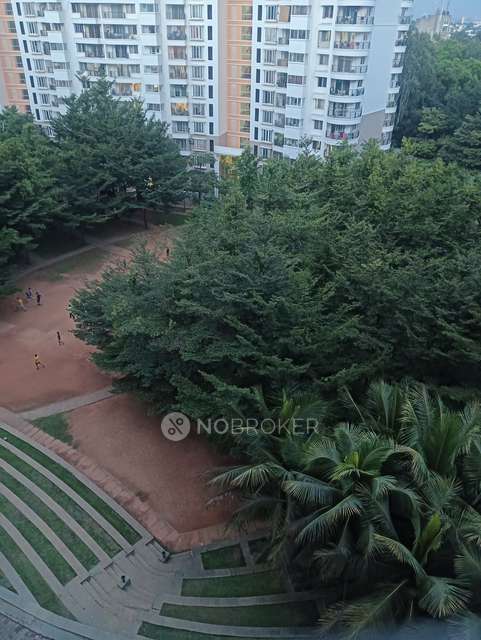 3 BHK Flat In Purva Venezia for Rent  In Yelahanka