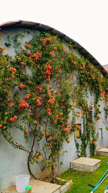 3 BHK Flat In Alpine Viva 1 For Sale  In Whitefield, Bangalore