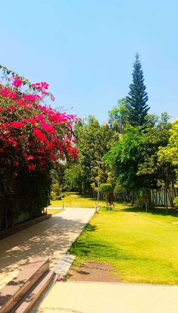 3 BHK Flat In Alpine Viva 1 For Sale  In Whitefield, Bangalore