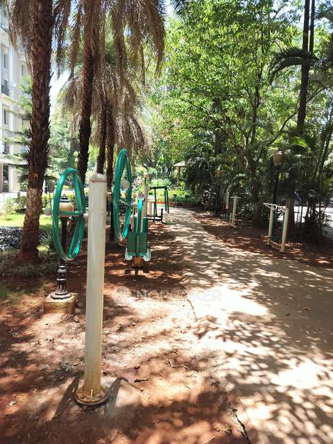 2 BHK Flat In Nyati Environ Cooperative Housing Society for Rent  In Tingre Nagar