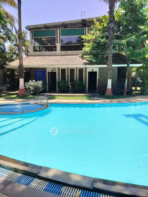 2 BHK Flat In Nyati Environ Cooperative Housing Society for Rent  In Tingre Nagar