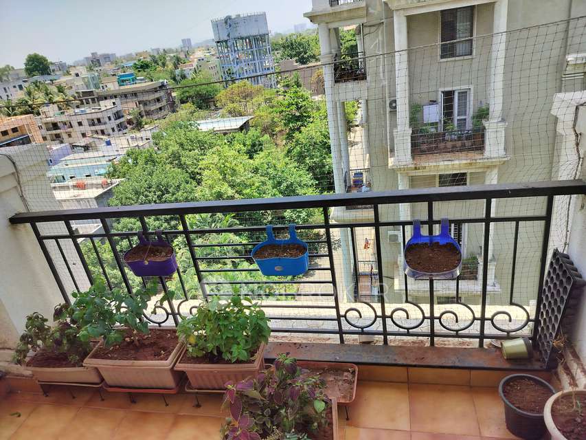 2 BHK Flat In Nyati Environ Cooperative Housing Society for Rent  In Tingre Nagar