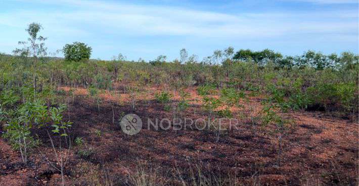 Plot For Sale  In Neelankarai