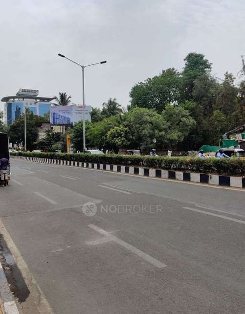 2 BHK Flat In Ajay Apartment Sena for Rent  In Ajay Apartments