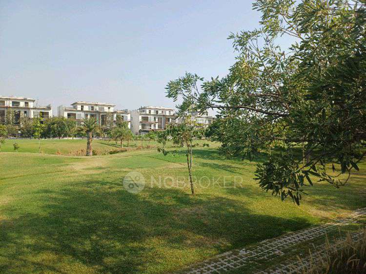 4+ BHK Flat In Godrej Golf Links For Sale  In Sector 27