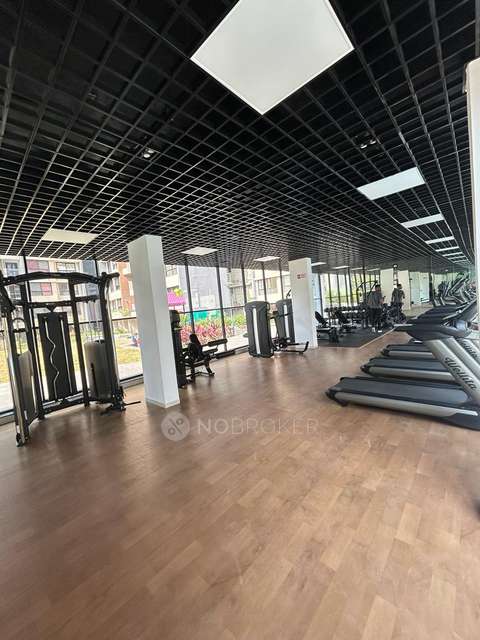 2 BHK Flat In Kohinoor Coral Phase 3, Hinjewadi for Rent  In Hinjewadi