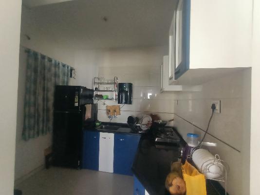 2 BHK Flat In Nexus Meridian for Rent  In Punawale