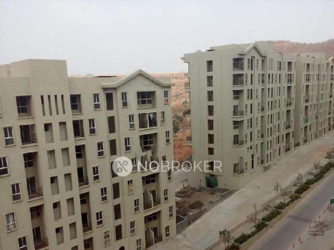 1 BHK Flat In   Xrbia Hinjewadi for Rent  In Hinjewadi