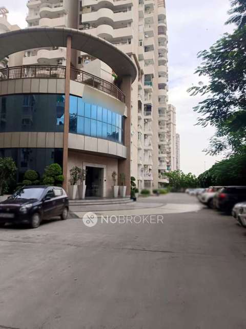 2 BHK Flat In Grand Ajnara Heritage for Rent  In Sector 74