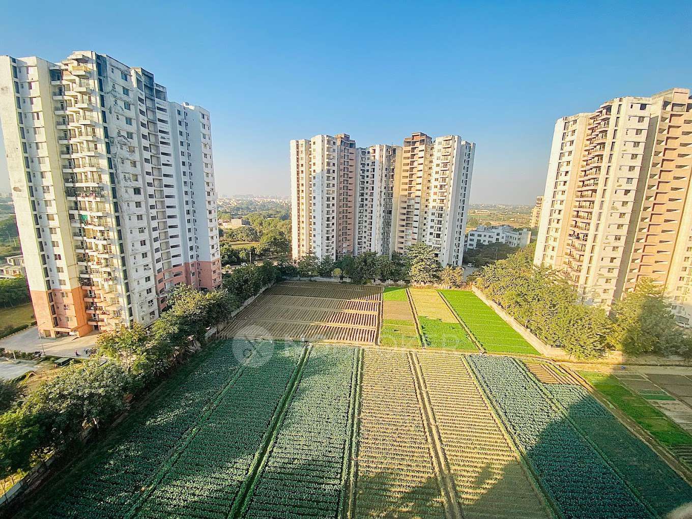 Adel Redwood Residency