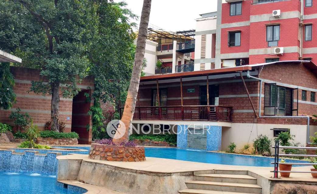 1 BHK Flat In Se  Homes for Rent  In Whitefield