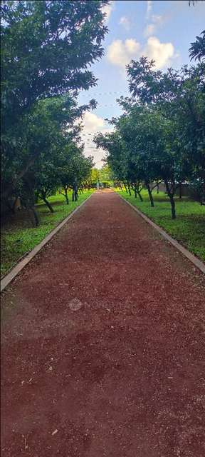 1 BHK Flat In Amazona Chs For Sale  In Nilje Gaon