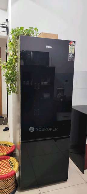 2 BHK Flat In Tcg The Crown Greens Phase 2 for Rent  In The Crown Greens - Old Building