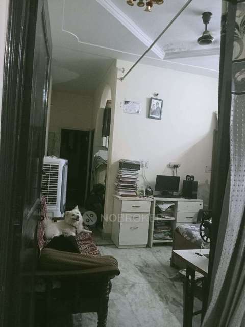 1 BHK Flat For Sale  In Rohini Sector 20 