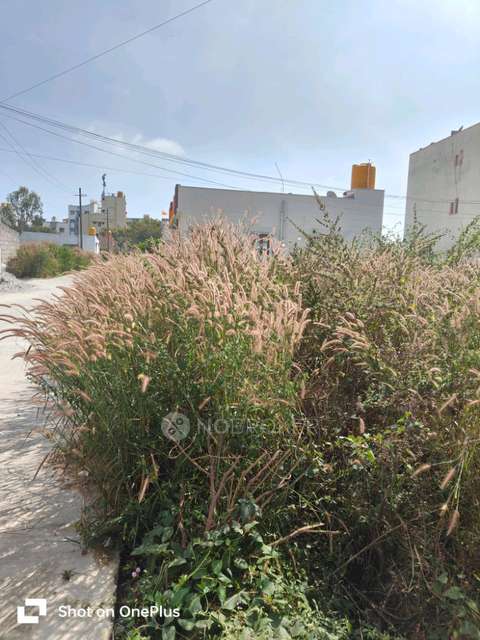 Plot For Sale  In Sry Layout In  Anekal