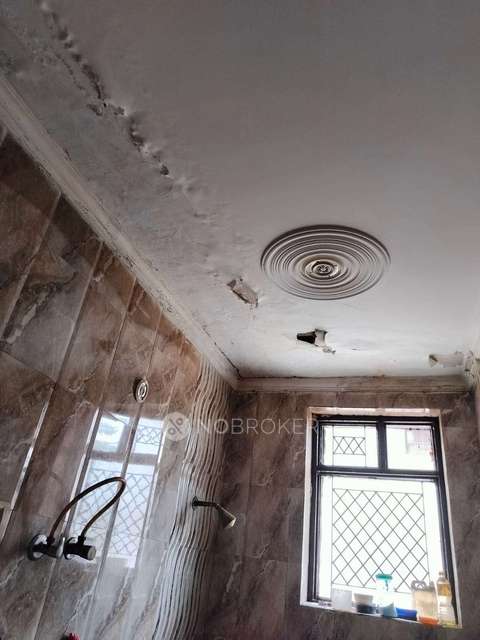 4+ BHK House For Sale  In Sector 48