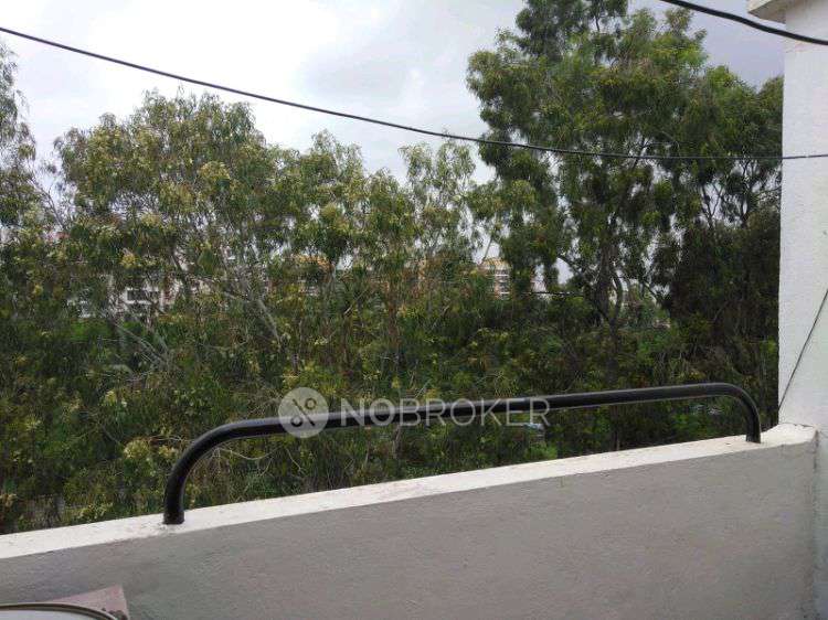 3 BHK Flat In Lotus Krest Phase 1 for Rent  In Lotus Krest Apartment Phase 3