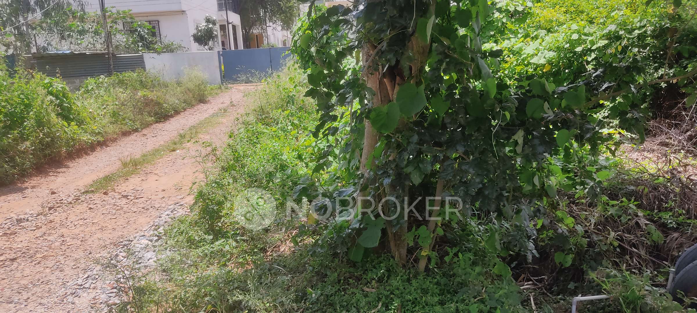 Plot For Sale  In Bommasandra