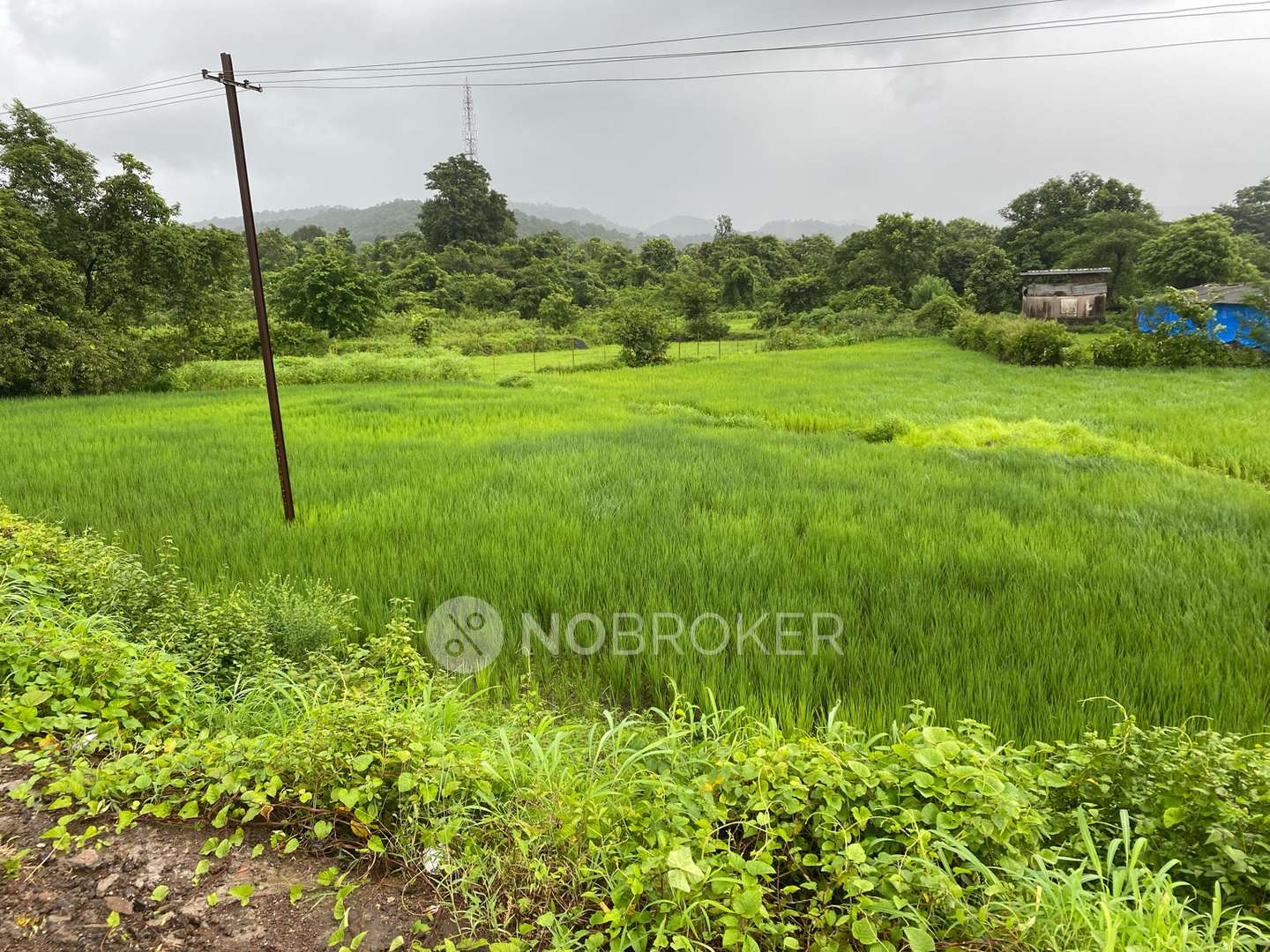 Plot For Sale  In Vashi