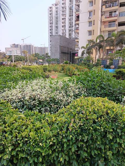 2 BHK Flat In Assotech Windsor Court, Sector-78 For Sale  In Sector-78