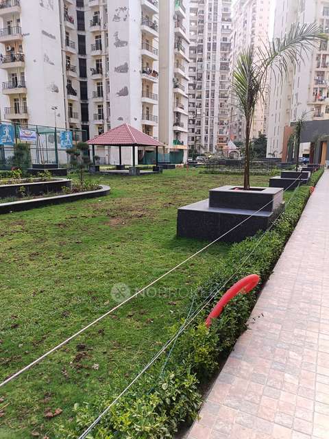 2 BHK Flat In Assotech Windsor Court, Sector-78 For Sale  In Sector-78