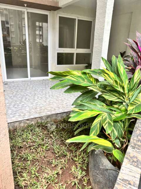 2 BHK Flat In Vtp Hi Life   Dange Chowk Road for Rent  In Thergaon