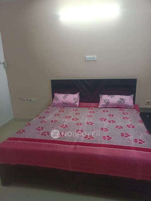 PG for Girls in Sector 41