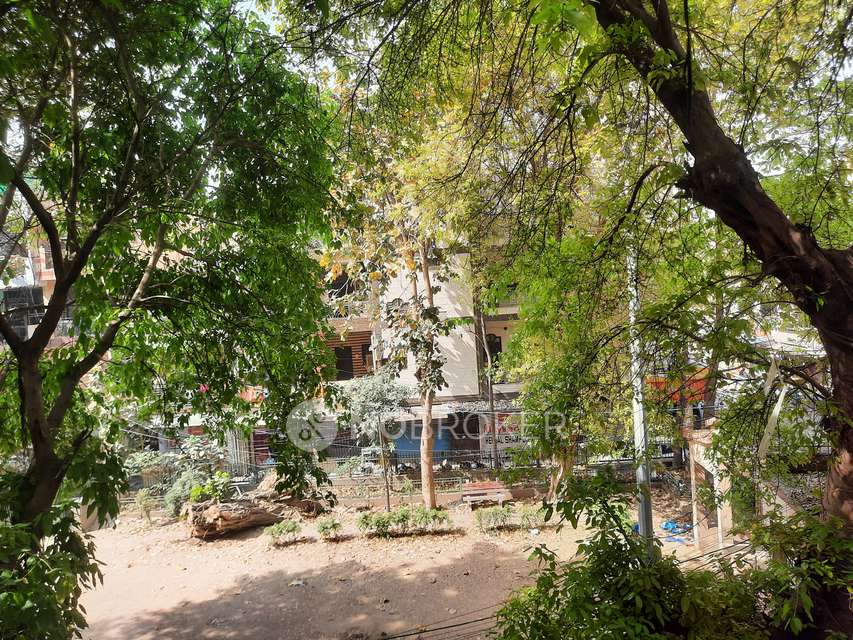 PG for Girls in  Moti Nagar