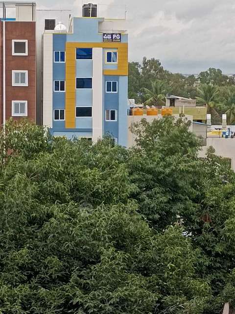 PG for Anyone in Mahadevapura