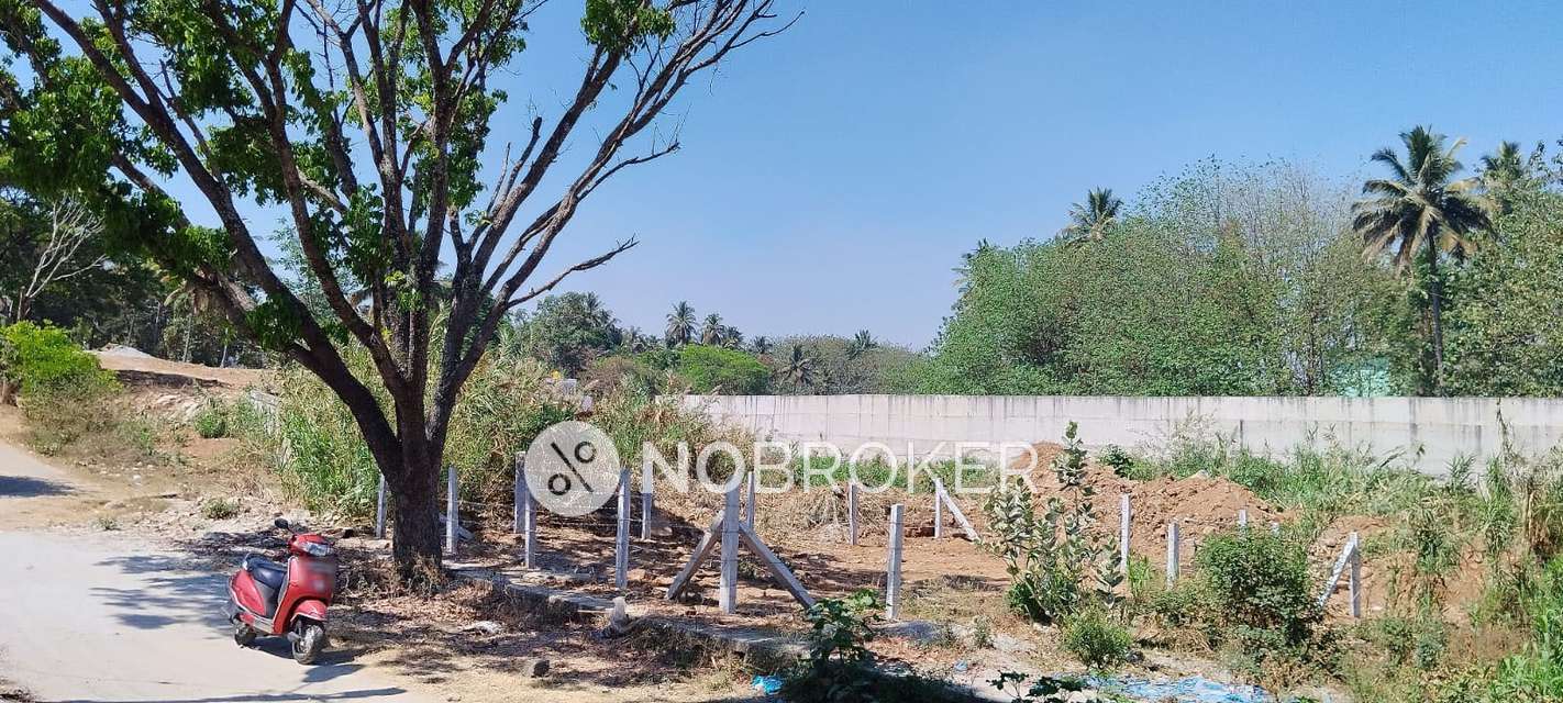 Plot For Sale  In Vijayashree Layout In Mailasandra