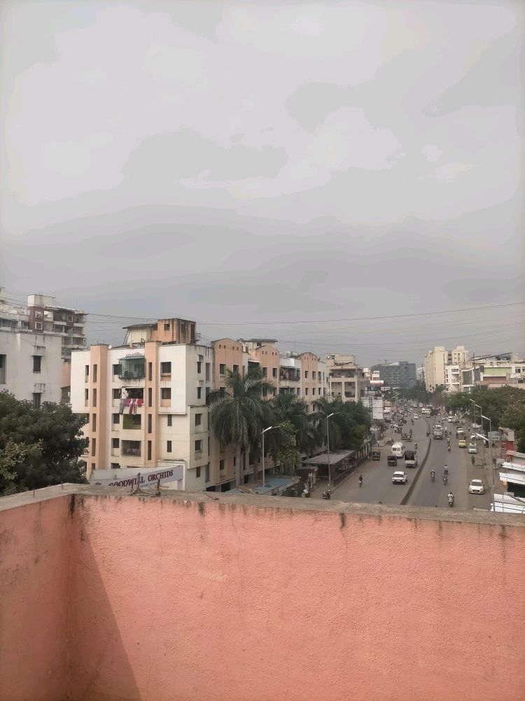 Choice Goodwill Orchids