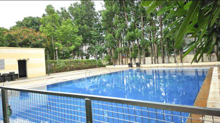 2 BHK Flat In Dsr Eden Greens for Rent  In Sarjapur