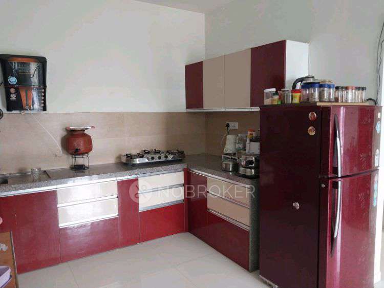 2 BHK Flat In Rohan Ananta for Rent  In Rohan Ananta 