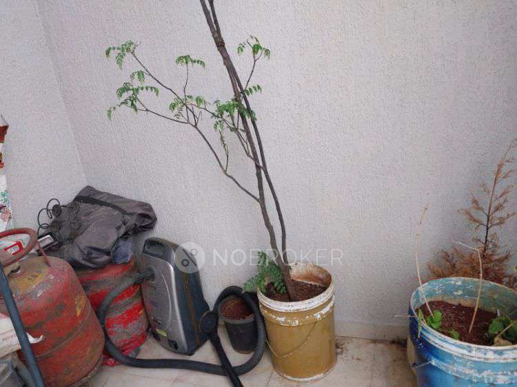 2 BHK Flat In Rohan Ananta for Rent  In Rohan Ananta 