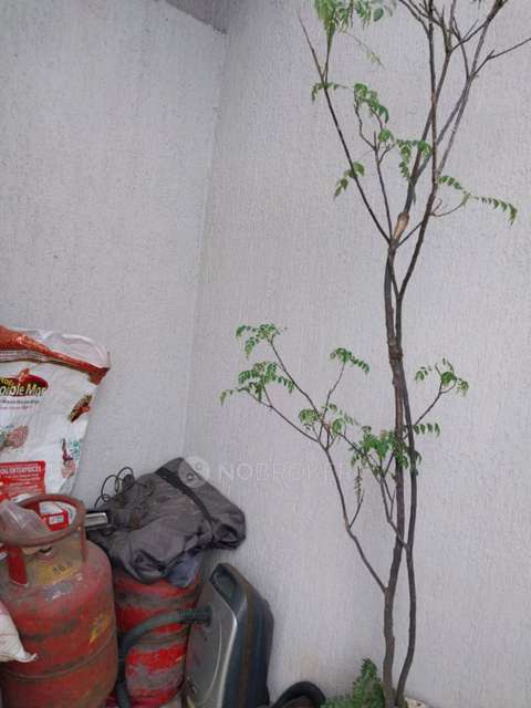 2 BHK Flat In Rohan Ananta for Rent  In Rohan Ananta 