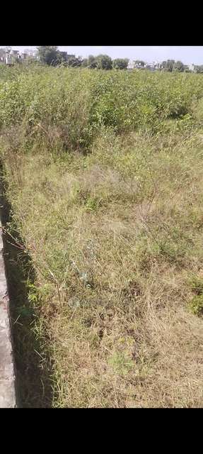 Plot For Sale  In Sector 12