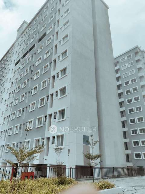 1 BHK Flat In Xrbia Talegaon Ambi For Sale  In Talegaon Dabhade