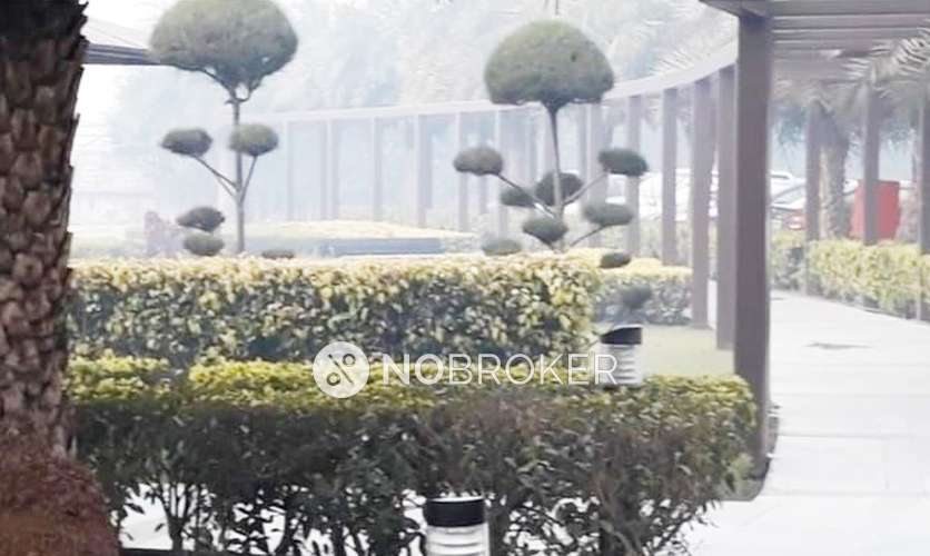 3 BHK Flat In Paras Tierea For Sale  In Sector 137